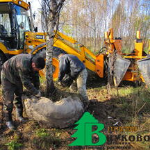 Сетка для упаковки деревьев