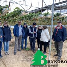 В тепличном комплексе по выращиванию клубники. Питомник Внуково