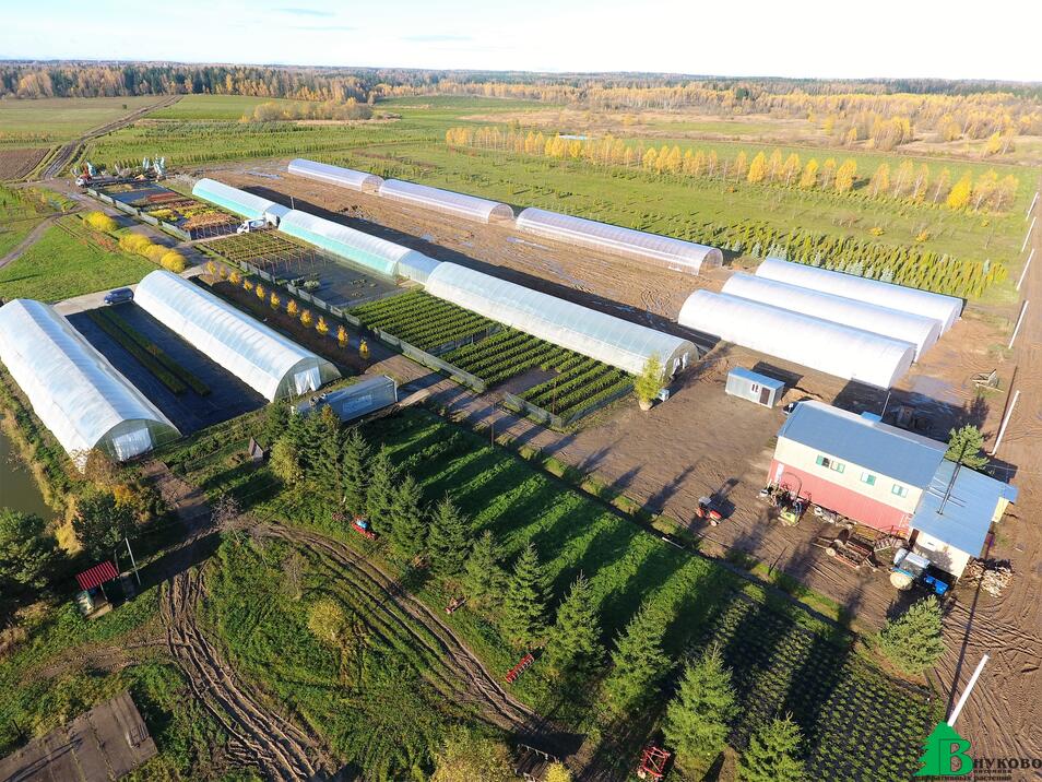 Тепличный комплекс питомника Внуково разрастается каждый год. Скоро площадь теплиц и контейнерной площадки будет 2 гектара.